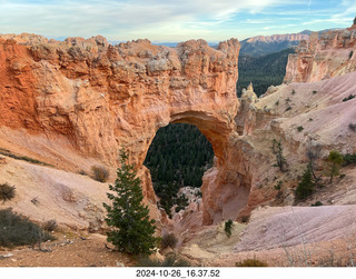 Zion National Park - Scout Landing hike - bridge view