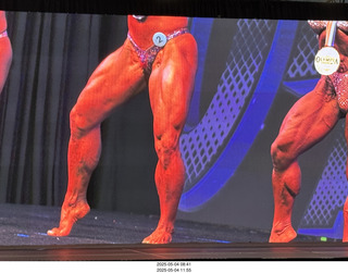 NPC Valley of the Sun Championships - Wings of Strength show