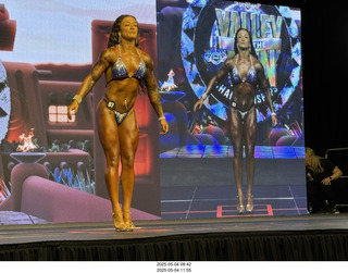 NPC Valley of the Sun Championships - Wings of Strength show