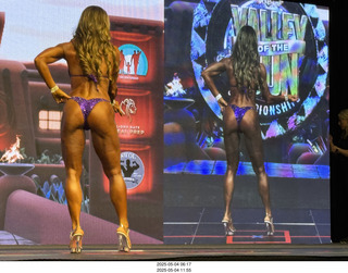 NPC Valley of the Sun Championships - Wings of Strength show