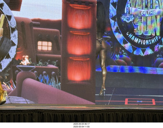 NPC Valley of the Sun Championships - Wings of Strength show