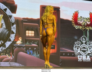 NPC Valley of the Sun Championships - Wings of Strength show