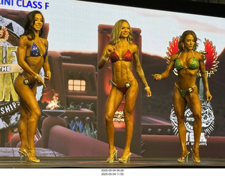 NPC Valley of the Sun Championships - Wings of Strength show