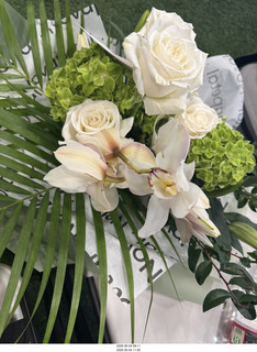 NPC Valley of the Sun Championships - Wings of Strength show