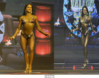 NPC Valley of the Sun Championships - Wings of Strength show