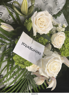 NPC Valley of the Sun Championships - Wings of Strength show