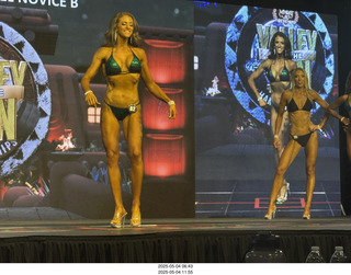 NPC Valley of the Sun Championships - Wings of Strength show