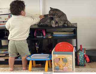 Instagram - Potato and Pickle