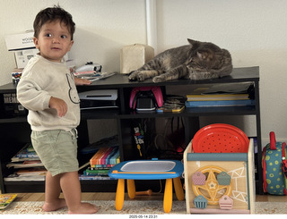 cats Potato and Pickle