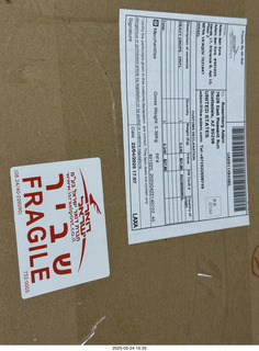 my cat Devin and incoming eBay record