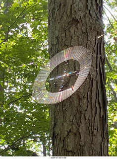 NPC Valley of the Sun Championships - Wings of Strength show