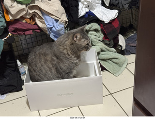 Anthony Junior and cat Potato