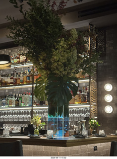 Midtown Manhattan - Olga