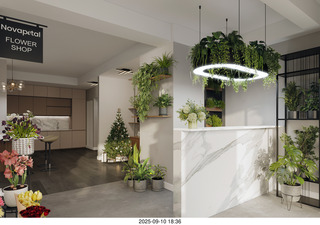 Midtown Manhattan - NovaPetal