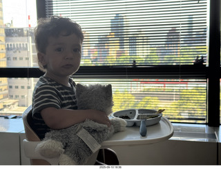 Midtown Manhattan apartment - Anthony Jr. and his toy cat