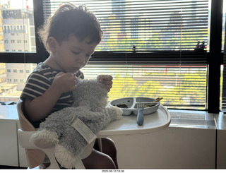 Midtown Manhattan apartment - Anthony Jr. and his toy cat