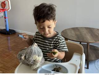 Midtown Manhattan - NovaPetal