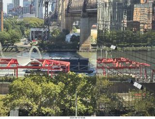 Midtown Manhattan - NovaPetal