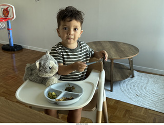 Midtown Manhattan - NovaPetal