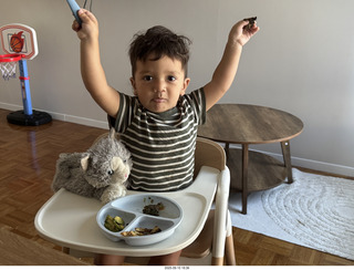 Midtown Manhattan apartment - Anthony Jr. and his toy cat