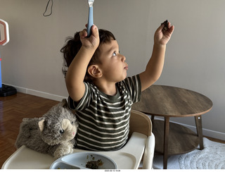 Midtown Manhattan apartment - Anthony Jr. and his toy cat