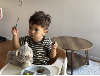Midtown Manhattan apartment - Anthony Jr. and his toy cat