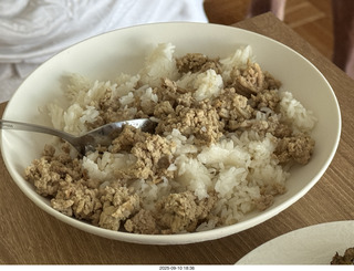 Midtown Manhattan apartment - Anthony Jr. and his toy cat
