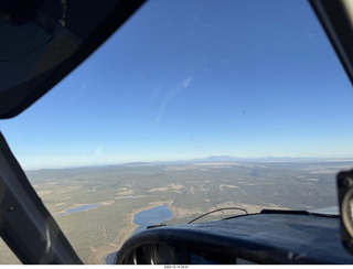 cats Potato and Pickle