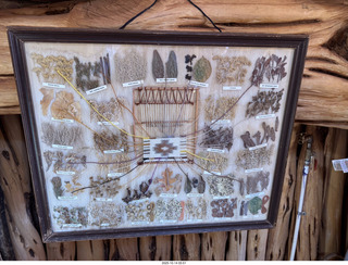 shanley pics - Monument Valley - tour