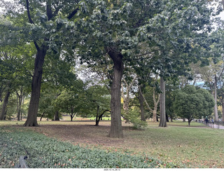 New York City - Central Park