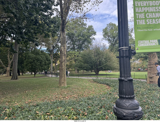 New York City - Central Park