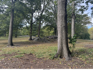 New York City - Central Park