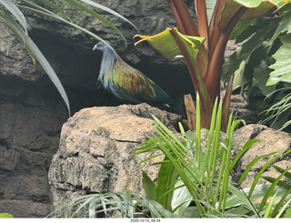 New York City - Central Park