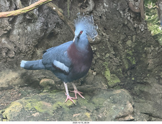New York City - Central Park