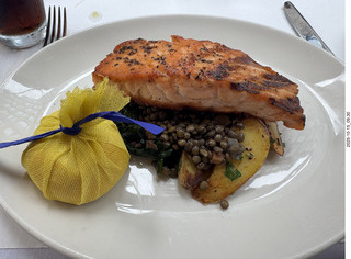 New York City - Central Park Zoo - sea lion
