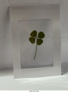 New York City - Empire State Building store