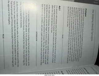 New York City - Empire State Buildling cookies