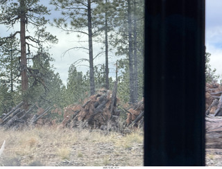 88 a2n. Bryce Canyon National Park wood gathering