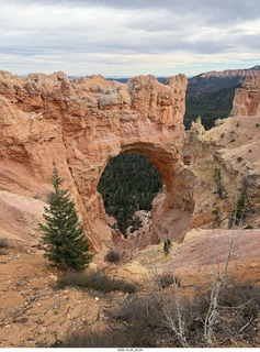 267 a2n. TF - Bryce Canyon National Park - Natural Bridge (actually an arch)