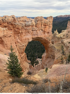271 a2n. TF - Bryce Canyon National Park - Natural Bridge (actually an arch)