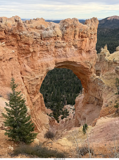 272 a2n. TF - Bryce Canyon National Park - Natural Bridge (actually an arch)