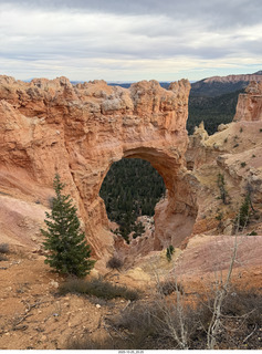 273 a2n. TF - Bryce Canyon National Park - Natural Bridge (actually an arch)