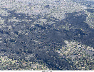 264 a2n. aerial - forest south of Flagstaff, Arizona