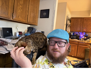 cats Potato and Pickle