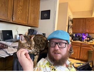 cats Potato and Pickle