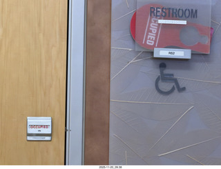 cats Pickle and Potato