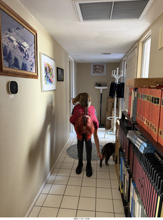 cats Pickle and Potato