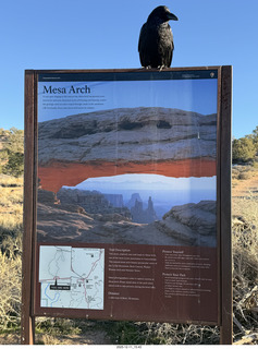 404 a2q. Utah - Canyonlands National Park - Mesa Arch hike sign - raven
