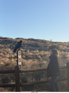 459 a2q. Utah - Canyonlands National Park - raven and Heather