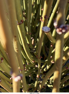 576 a2q. Utah - Canyonlands National Park drive back to Moab